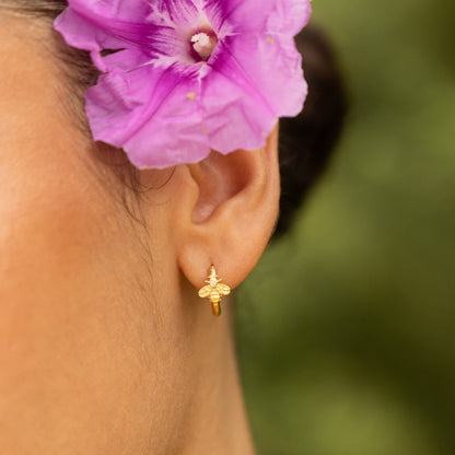 Stahlberg Floria Shine Ohrringe