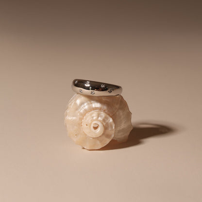 Stahlberg Veyra Pure Ring