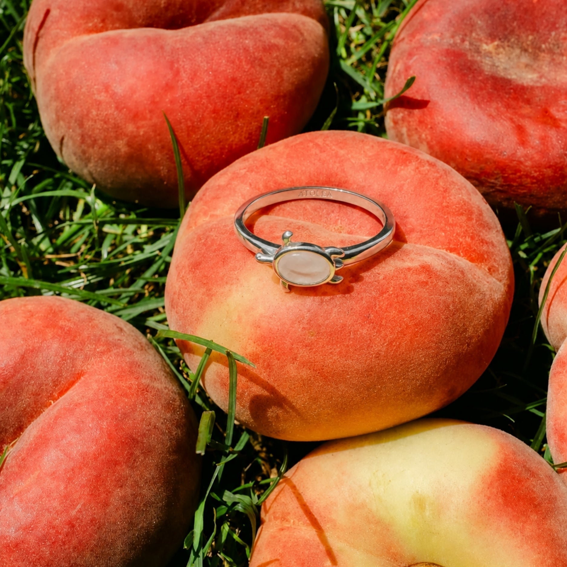 Stahlberg Anelia Shine Ring